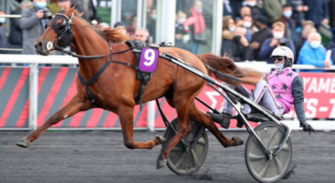 Pronostics Meeting d'hiver Vincennes 2023 2024